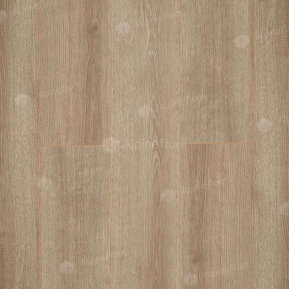 Ламинат "Camsan" Дуб Кашемир (1380*190*10 мм) — купить в Иваново